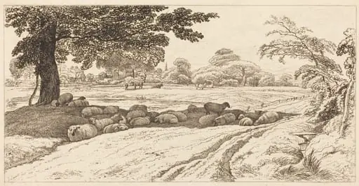 Sheep at Noon, by John Linnell