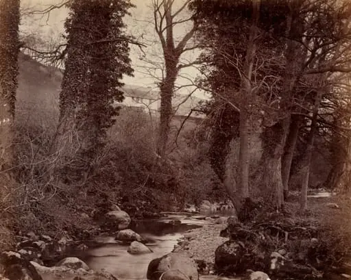 Untitled, by John Lloyd