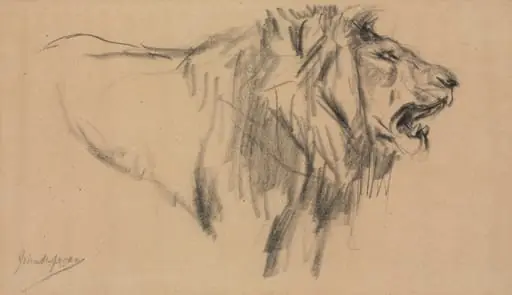 Lion, by John Macallan Swan
