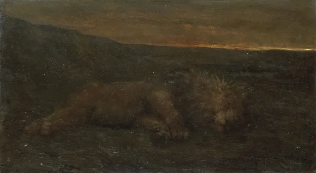 Sleeping lion at night