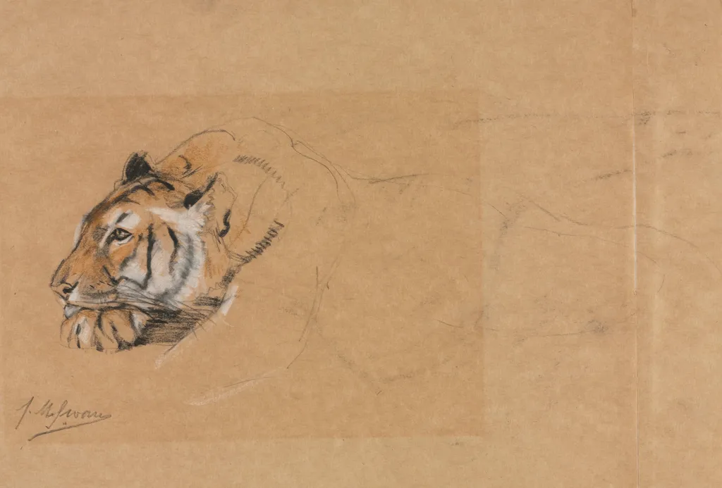 Tiger, by John Macallan Swan, 1886
