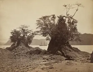 Islands in Limón Bay