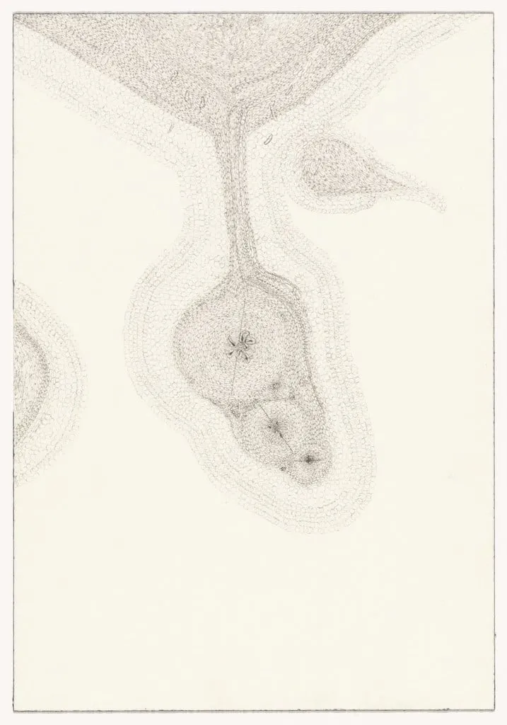 Untitled, by John Morris, ink, 1996