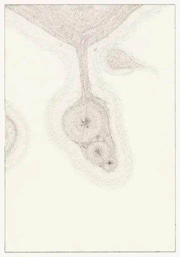 Untitled, by John Morris