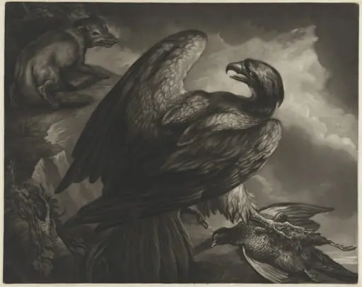 Eagle and Fox, by John Murphy