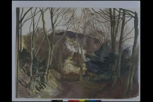 Whiteleaf, by John Northcote Nash