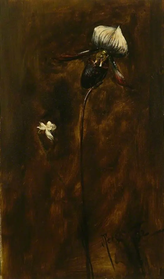 Study of two Flowers, by John Pettie
