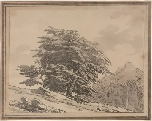 Delineations of the General Character Ramifications and Foliage of Forest Trees: Cedar, by John Robert Cozens