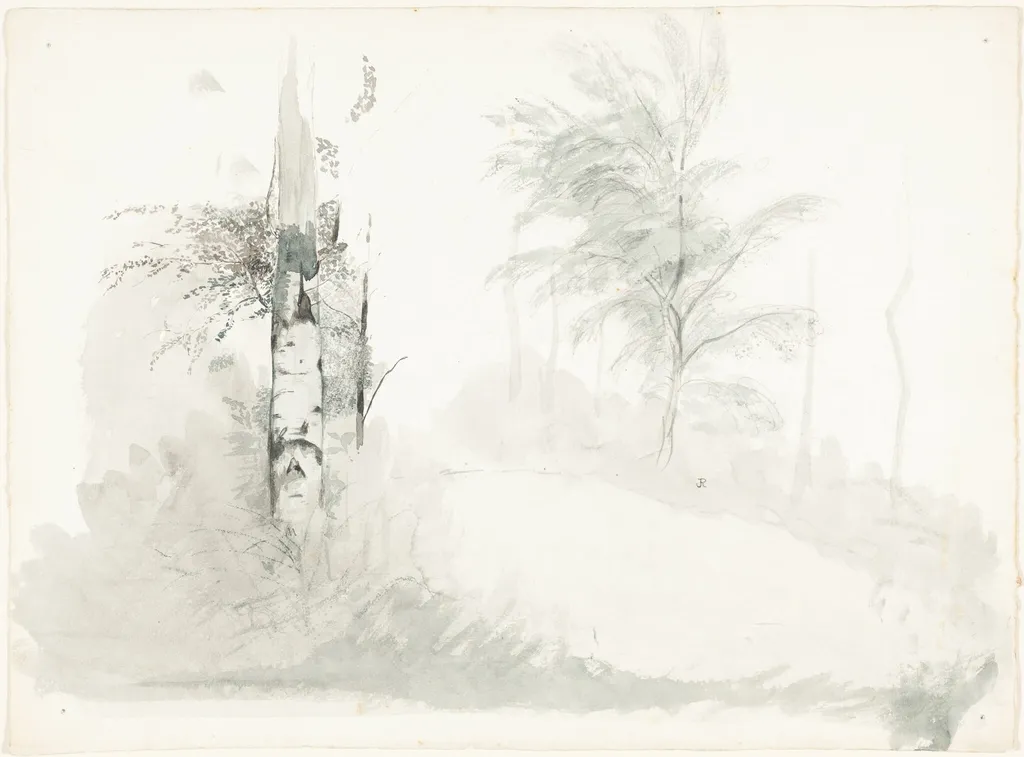 Tree Study, by John Ruskin, ink, 1854