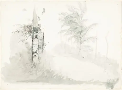 Tree Study, by John Ruskin