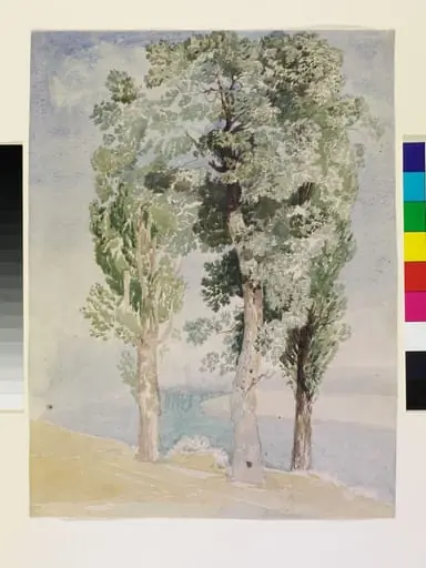 A Study of Trees, by John Sell Cotman