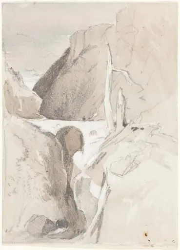 Gorge with Tree Stumps, by John Sell Cotman