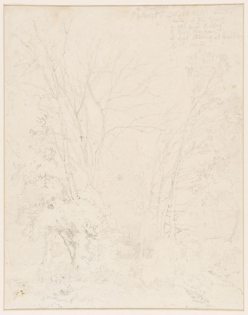 Study of trees, by John Sell Cotman, 1805