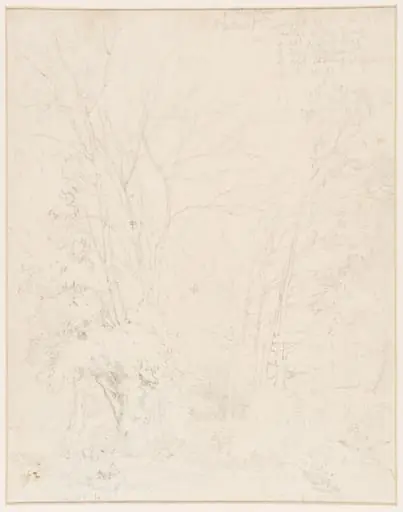 Study of trees, by John Sell Cotman