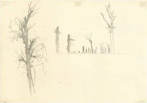 Devastated Trees [verso], by John Singer Sargent