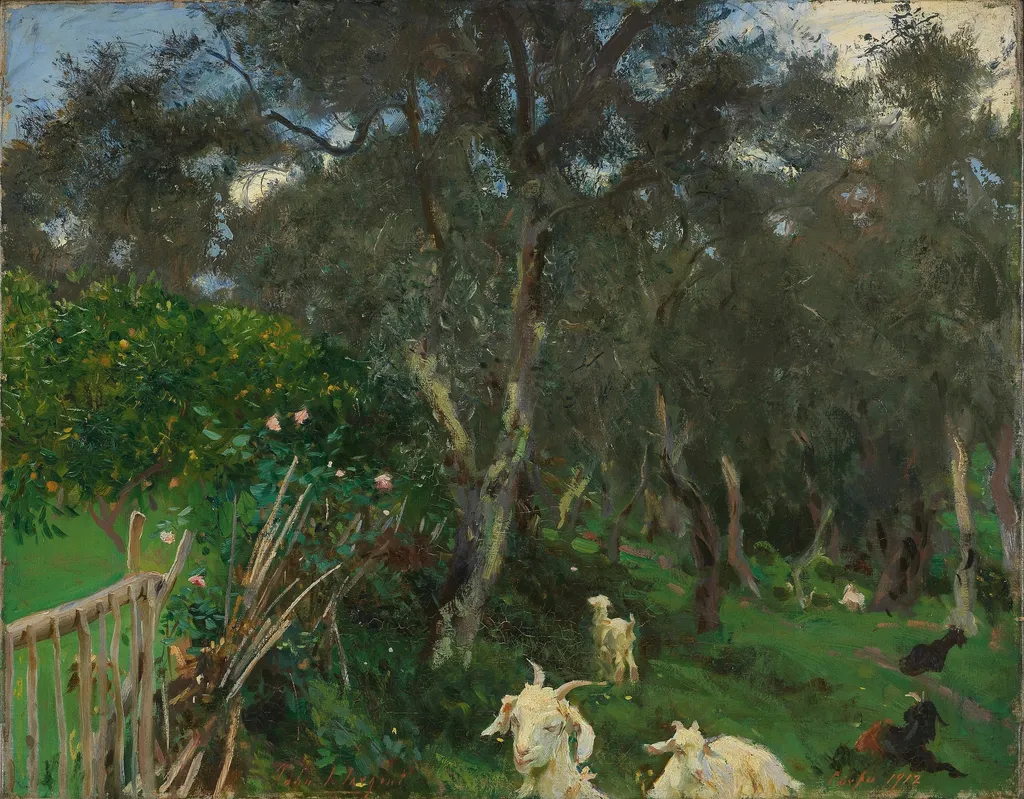 Olives in Corfu, by John Singer Sargent, oil, 1909