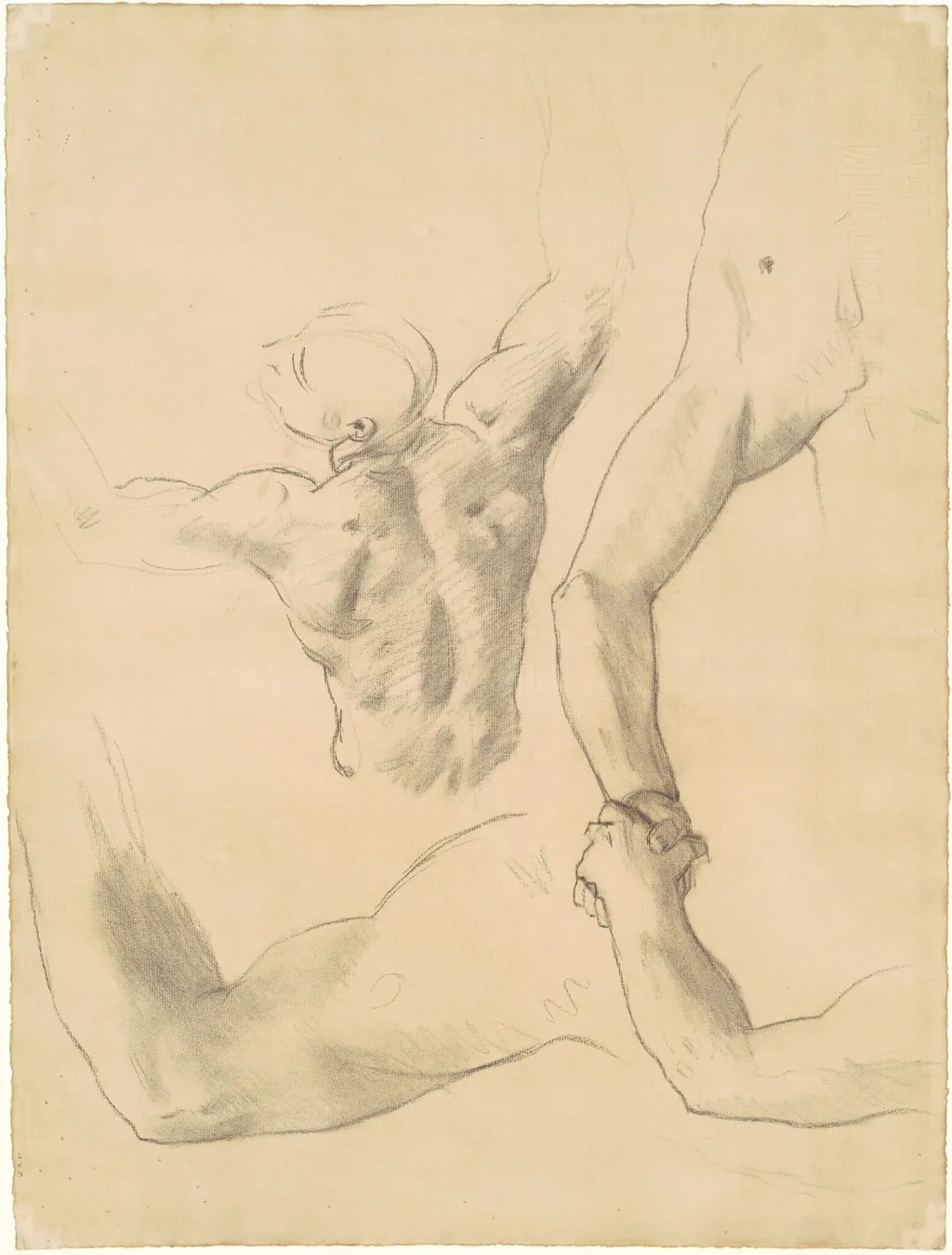 Studies for "Two Classical Male Figures Wrestling", by John Singer Sargent, charcoal, 1920