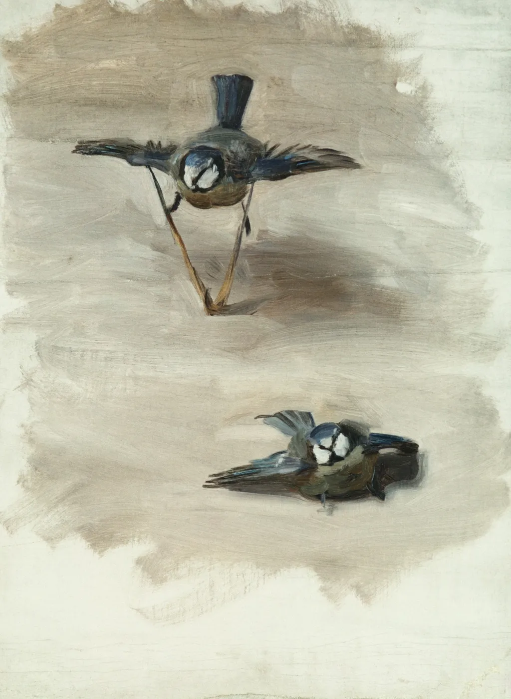 Studies of a Dead Bird, by John Singer Sargent, oil, 1890