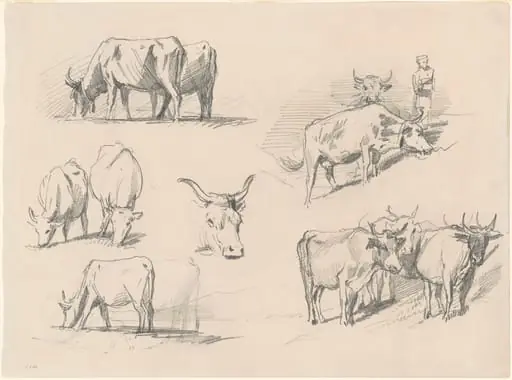 Studies of Cattle, by John Singer Sargent