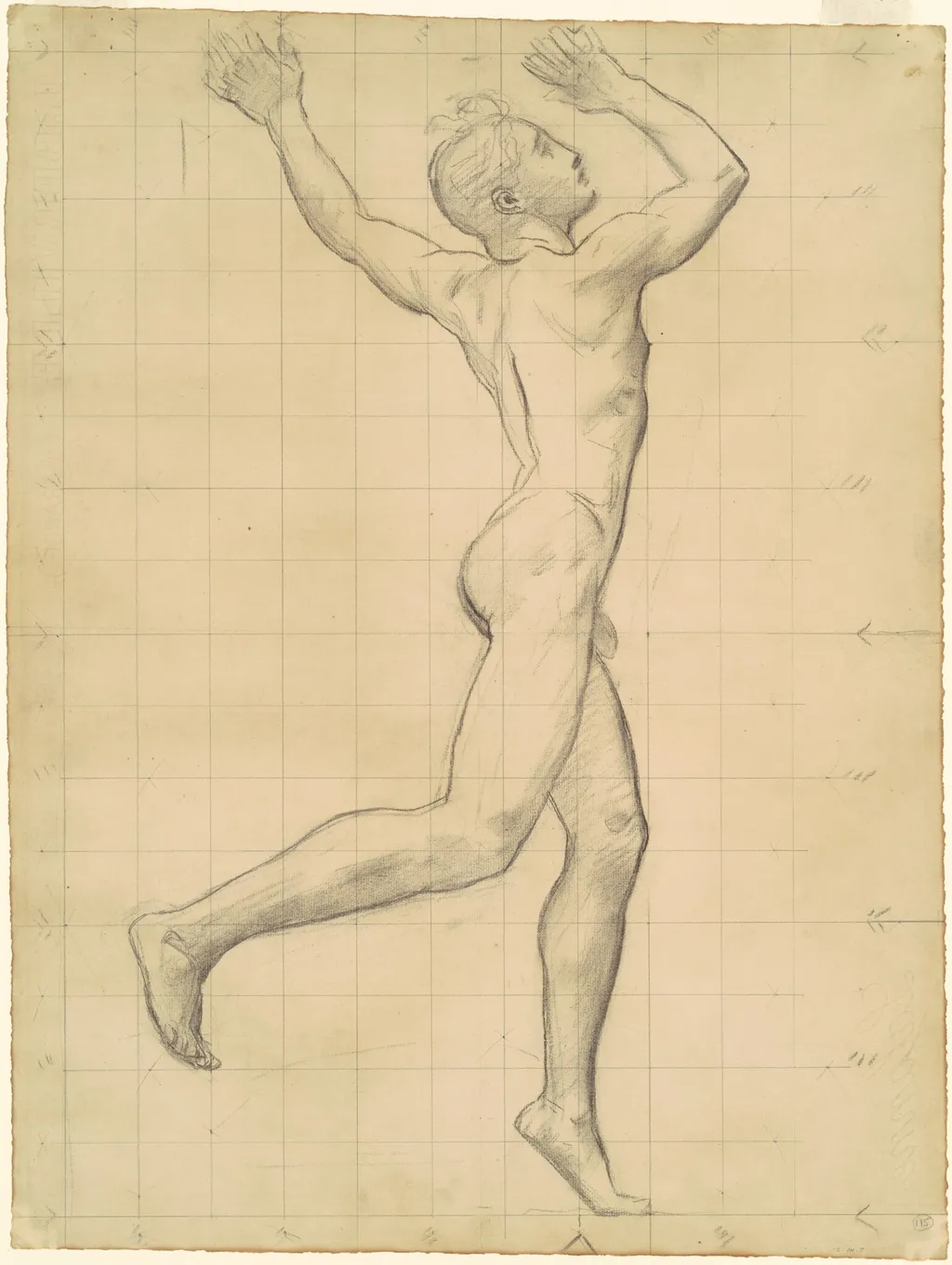 Study of Apollo for "Apollo and Daphne", by John Singer Sargent, charcoal, 1918