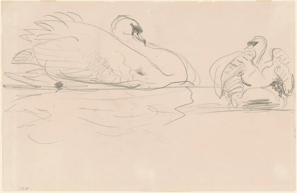 Swans in the Water, by John Singer Sargent, graphite, 1890