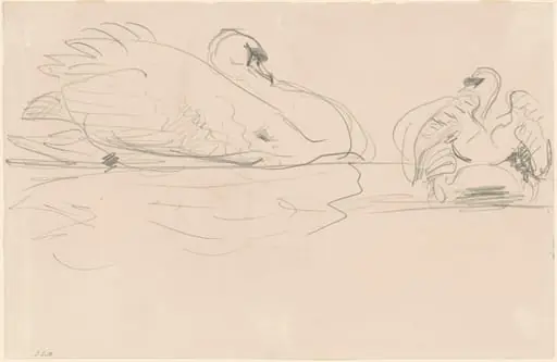 Swans in the Water, by John Singer Sargent