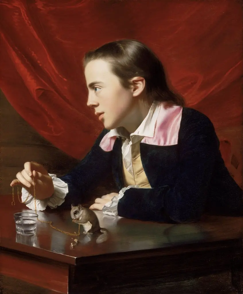 A Boy with a Flying Squirrel (Henry Pelham), by John Singleton Copley