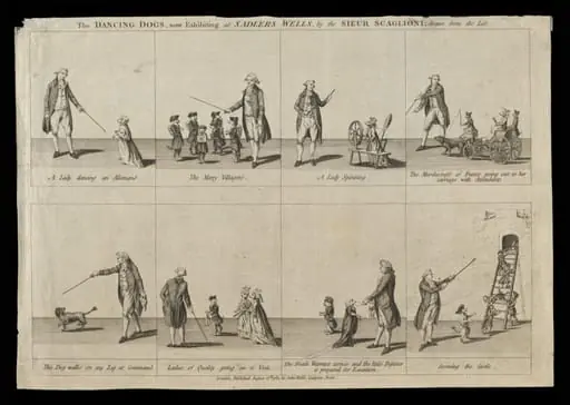 Print Collection