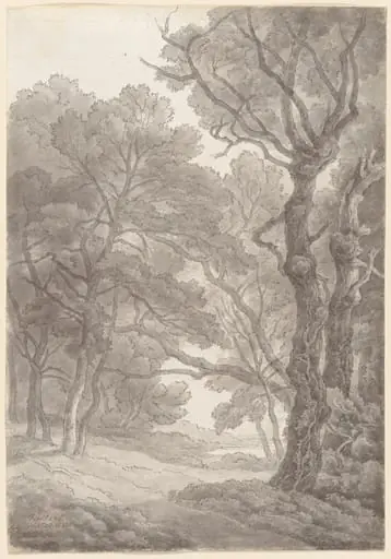 Trees at Fordland, Devon, by John White Abbott