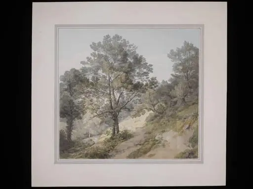 View near Canonteign, Devon, by John White Abbott