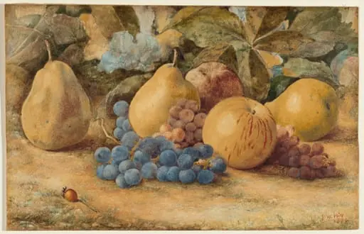 Still Life of Fruit: Apples, Pears, and Grapes on Ground, by John William Hill