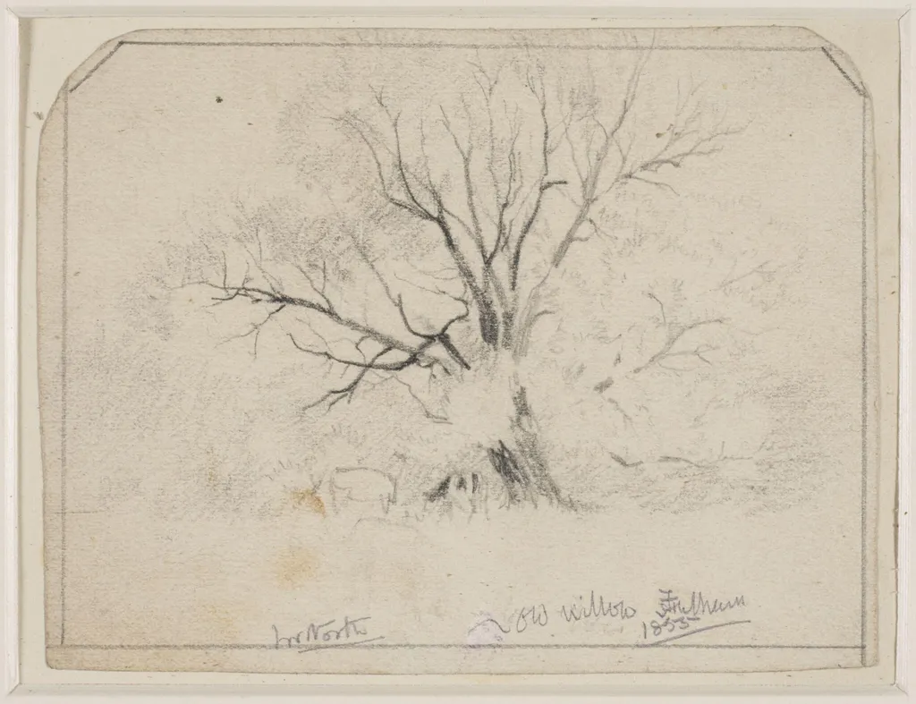 Old Willows, Fulham., by John William North, 1855