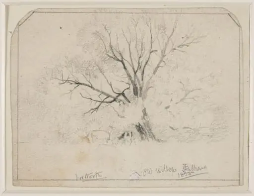 Old Willows, Fulham., by John William North