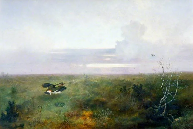 Disturbed: A Plover Rising from Its Nest, by John Wright Oakes, oil, 1890