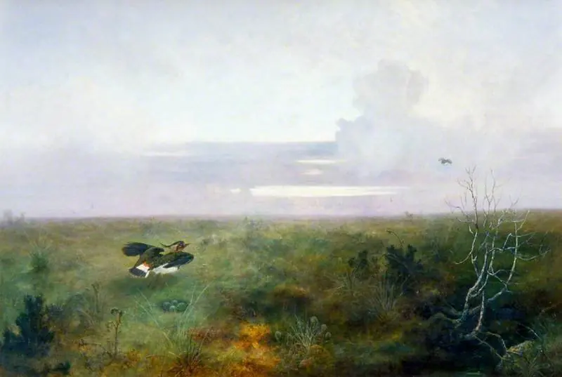 Disturbed: A Plover Rising from Its Nest, by John Wright Oakes