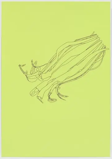 Untitled, by Jorge Pardo
