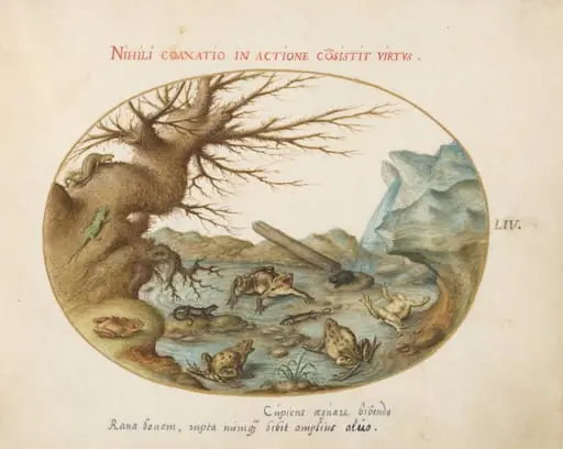Plate 54: Frogs, Lizards, and Salamanders(?) in a Landscape, by Joris Hoefnagel