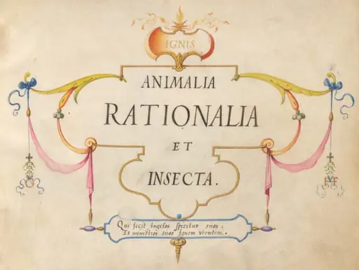 Title Page, by Joris Hoefnagel