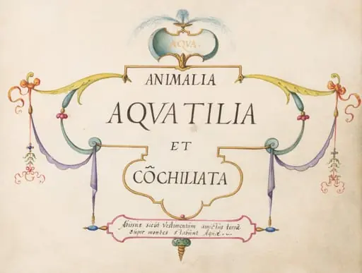 Title Page, by Joris Hoefnagel
