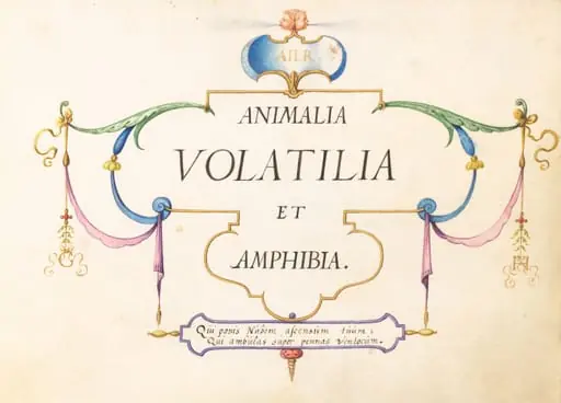 Title Page, by Joris Hoefnagel