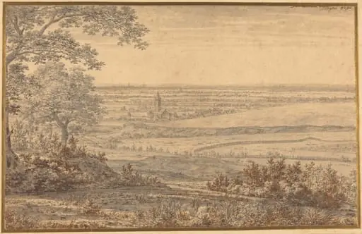 Extensive Landscape Seen from the Edge of a Forest, by Joris van der Haagen
