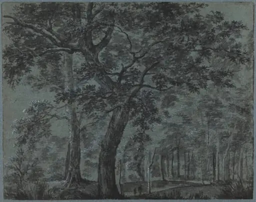 Woods at Night with Travelers, by Joris van der Haagen