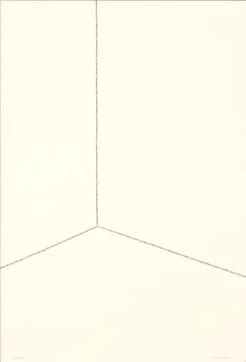 Untitled, by José Damasceno