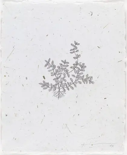 Untitled, by José Toirac