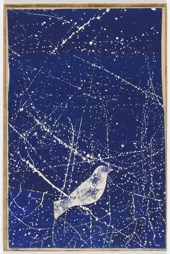 Untitled, by Joseph Cornell