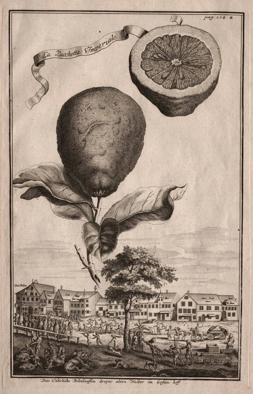 Nurnbergische Hesperides: La Luchetta Imoperiale, by Joseph de Montalegre, 1714
