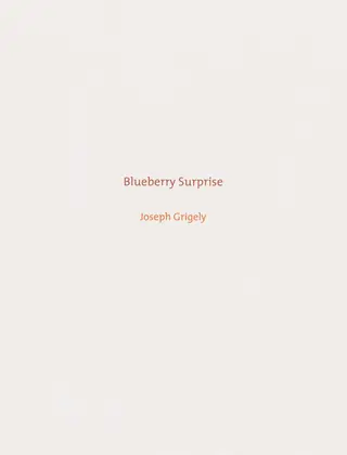 Untitled, by Joseph Grigely, 2006