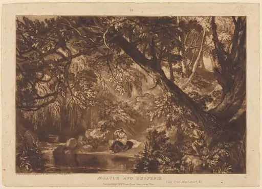 Aesacus and Hesperie, by Joseph Mallord William Turner