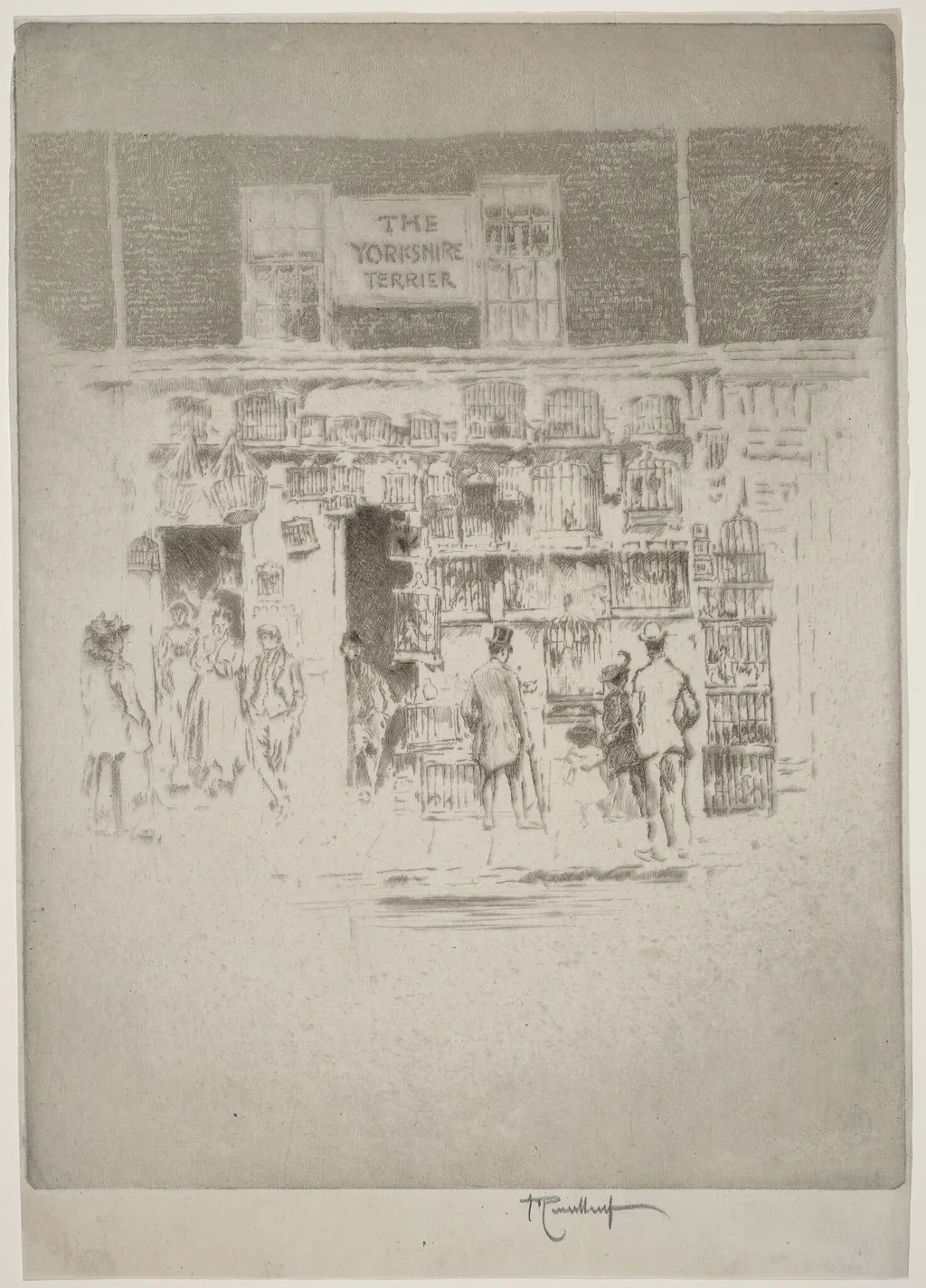 The Yorkshire Terrier, by Joseph Pennell, ink, 1903