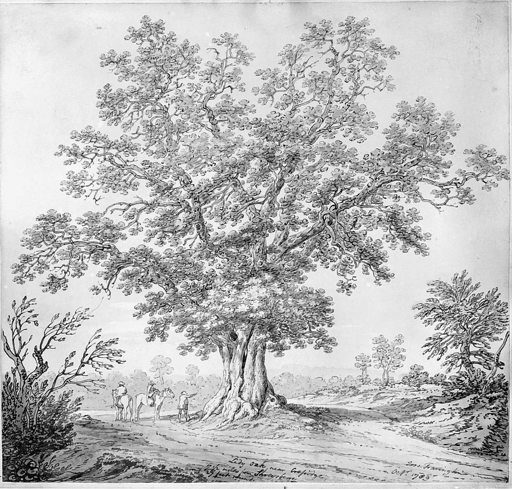 Lady Oak, near Cressidge, by Joseph RA Farington, watercolor, 1789